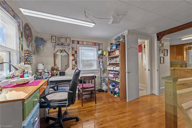 office area with light hardwood / wood-style flooring