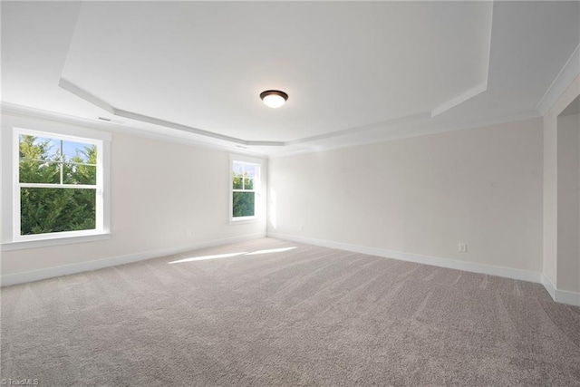 empty room with light carpet, a raised ceiling, and a healthy amount of sunlight