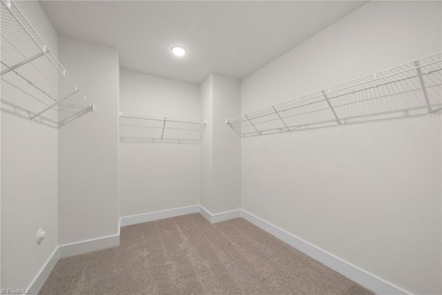 spacious closet with carpet