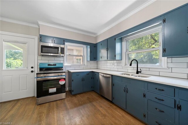 kitchen with a wealth of natural light, stainless steel appliances, dark hardwood / wood-style floors, and sink