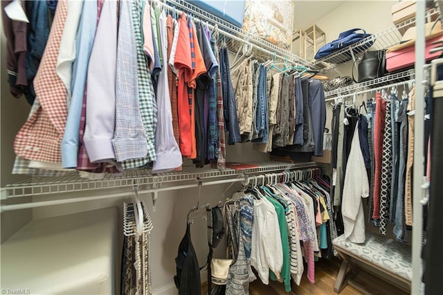 spacious closet with wood finished floors
