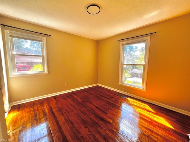 empty room with wood-type flooring and plenty of natural light