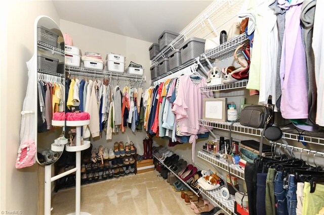 spacious closet with light carpet