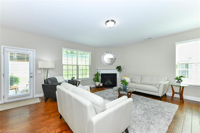 living room featuring dark hardwood / wood-style flooring