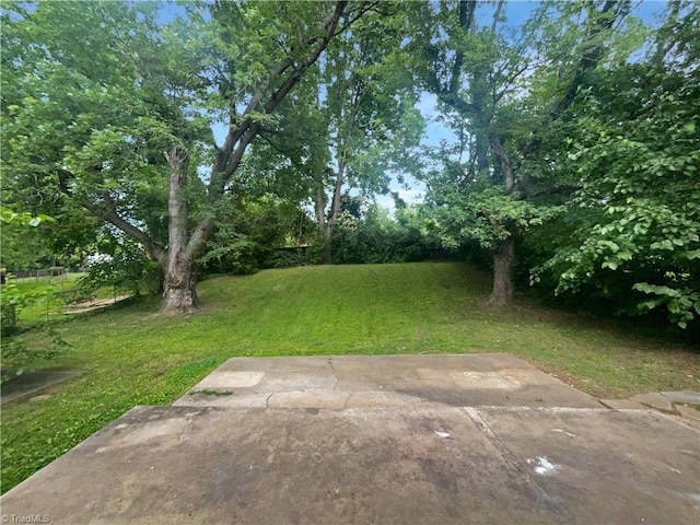 1606 Woodbriar Ave, Greensboro, NC 27405 - view of green lawn featuring a patio