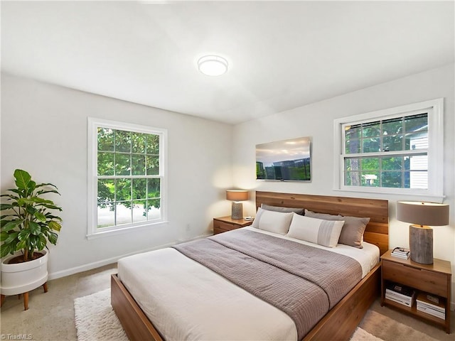 1606 Woodbriar Ave, Greensboro, NC 27405 - bedroom featuring multiple windows and light carpet