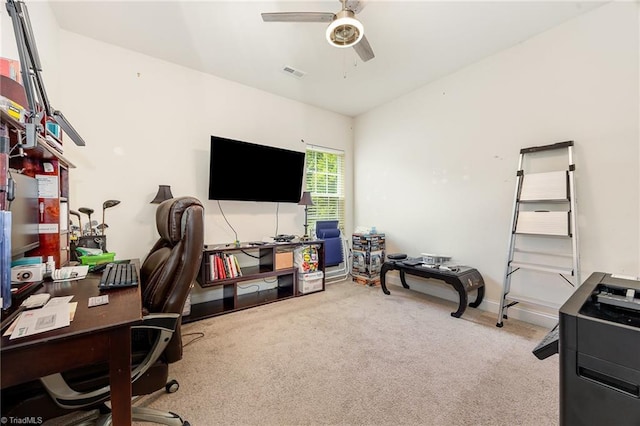 275 Obsidium Ct, Gibsonville, NC 27249 - office space featuring carpet and a ceiling fan