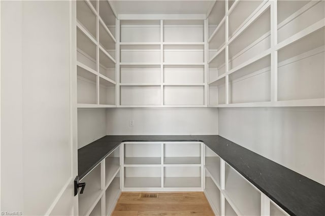 1341 Maple Chase Ln, Winston-Salem, NC 27106 - view of pantry