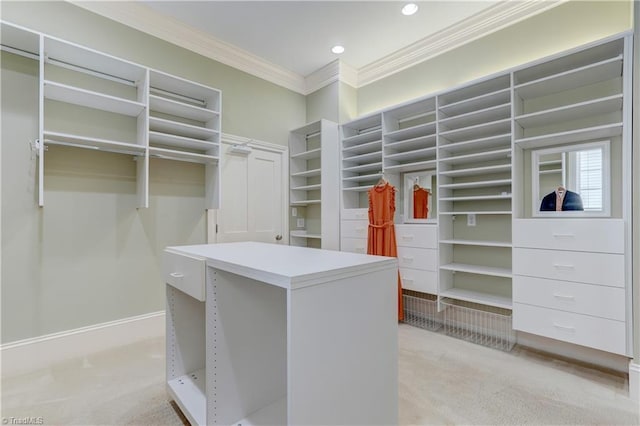 spacious closet with light carpet