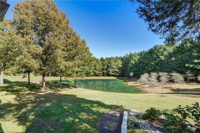 view of property's community featuring a water view and a lawn