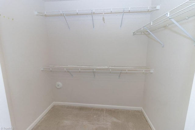 2221314 Delaney Dr, Burlington, NC 27215 - walk in closet featuring carpet floors