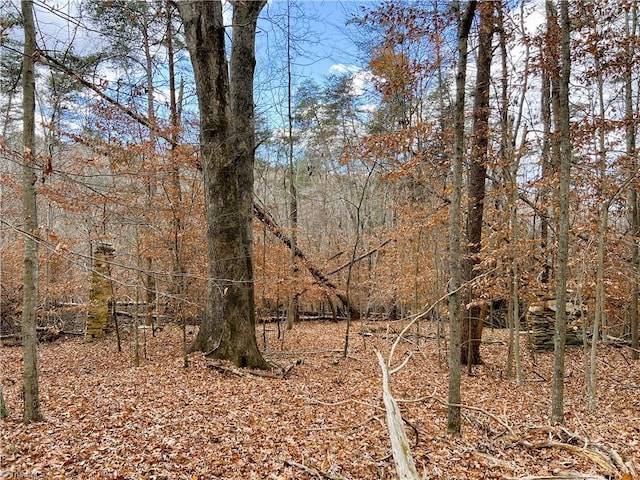 Listing photo 2 for 22.44AC Paw Paw Rd, Stoneville NC 27048