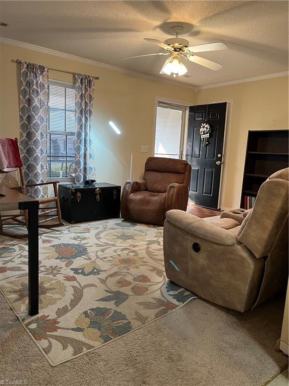 living room with crown molding, ceiling fan, carpet flooring, and a textured ceiling