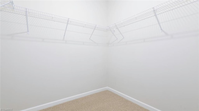 280 Lisa Ln, Winston-Salem, NC 27107 - walk in closet with carpet floors