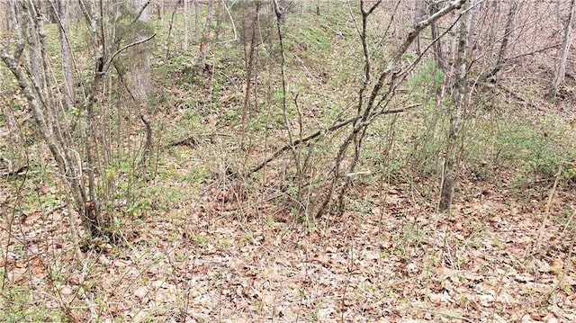 Listing photo 3 for LOT8 Arlie Myers Store Rd, Mcgrady NC 28649