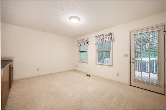 empty room featuring a textured ceiling and light colored carpet