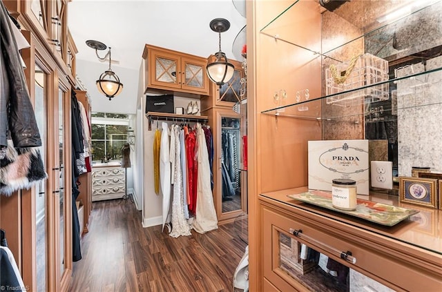 spacious closet with dark wood-style floors
