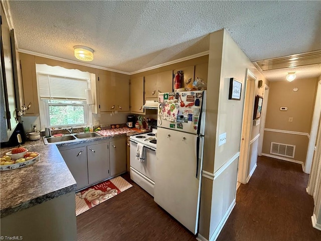 kitchen with dark hardwood / wood-style flooring, white appliances, extractor fan, and sink