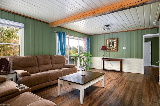 living room with wood walls, dark wood-type flooring, beam ceiling, and wooden ceiling