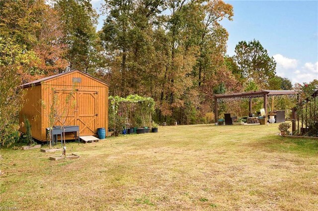 view of yard with a storage unit