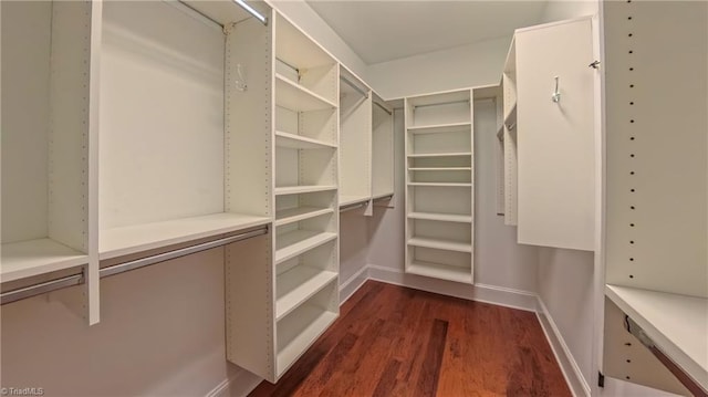5567 Foxgate Cir, Winston-Salem, NC 27106 - spacious closet with dark wood finished floors