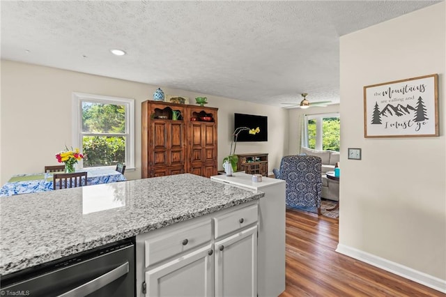 2664 Old Thomasville Rd, Winston-Salem, NC 27107 - kitchen featuring wood finished floors, a textured ceiling, dishwasher, white cabinets, and ceiling fan