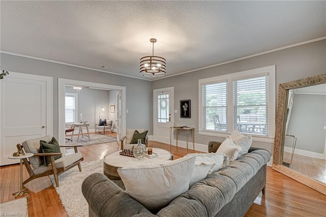 living area featuring healthy amount of natural light, light wood finished floors, ornamental molding, a textured ceiling, and baseboards