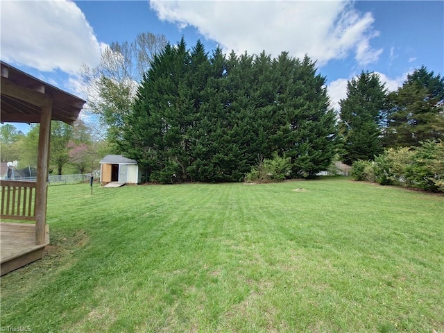 view of yard featuring a storage shed