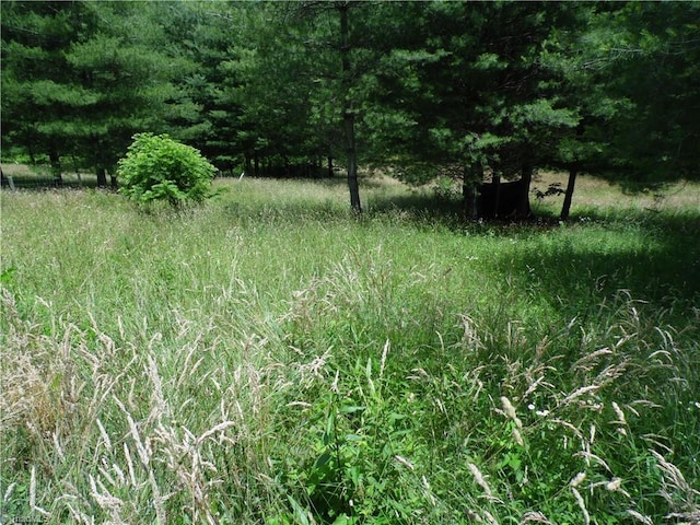 TBD NC Highway 18 N, Sparta, NC 28675