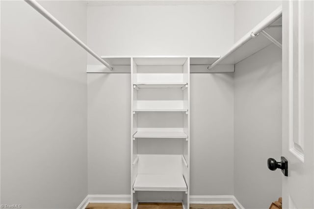 walk in closet featuring wood finished floors