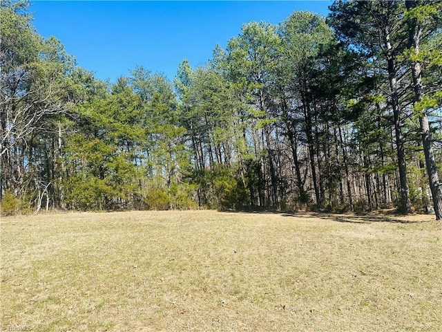 view of nature featuring a forest view