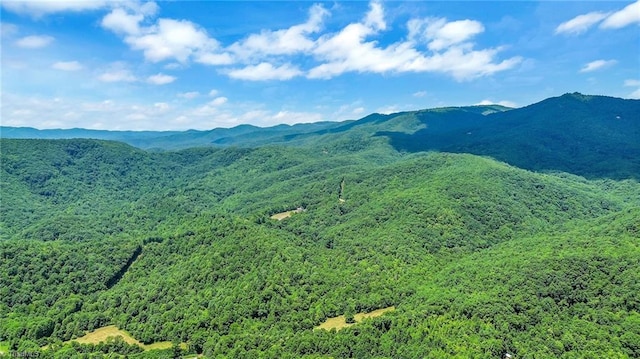 property view of mountains featuring a forest view