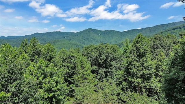 mountain view featuring a view of trees