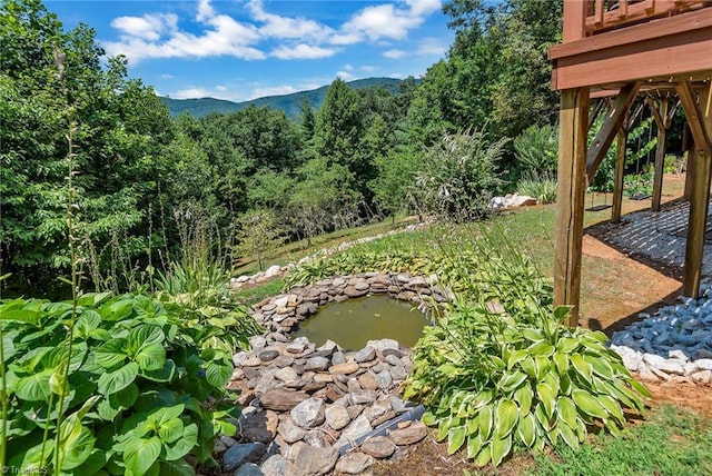 view of yard featuring a mountain view