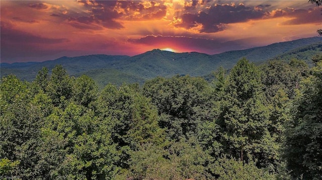 property view of mountains featuring a view of trees