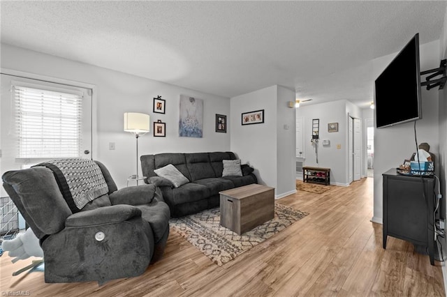 living room with light wood-type flooring