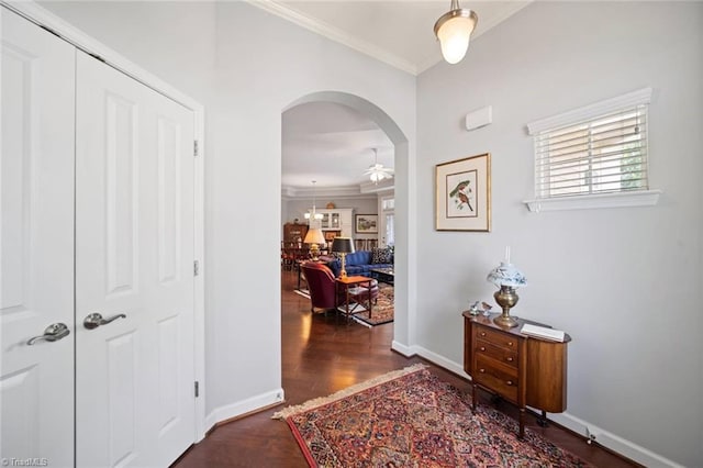 5905 Knowledge Dr, Clemmons, NC 27012 - hall with crown molding, arched walkways, wood finished floors, and baseboards