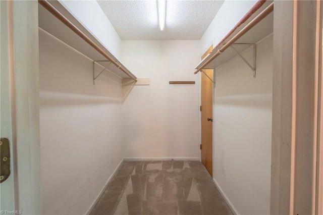spacious closet with carpet flooring