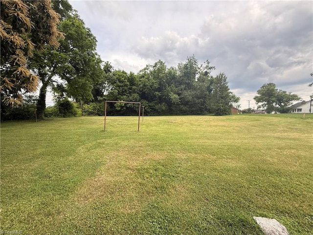 535 Worth St, Mount Airy, NC 27030 - view of grassy yard