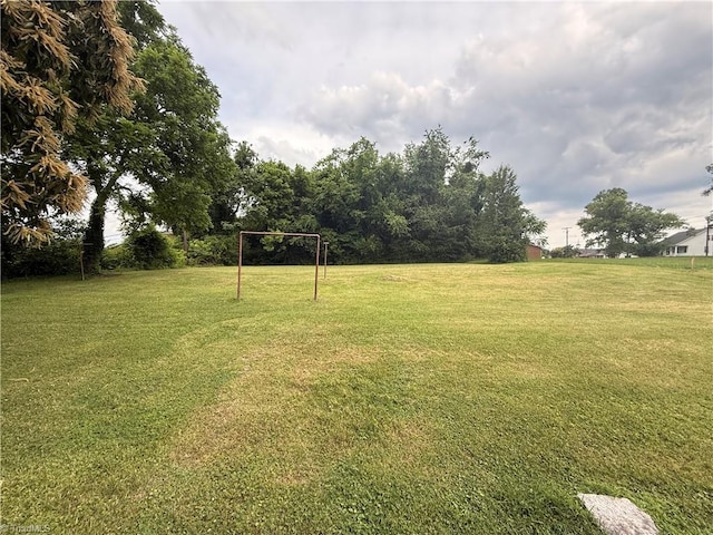 535 Worth St, Mount Airy, NC 27030 - view of green lawn