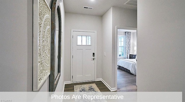 entrance foyer with dark wood-type flooring