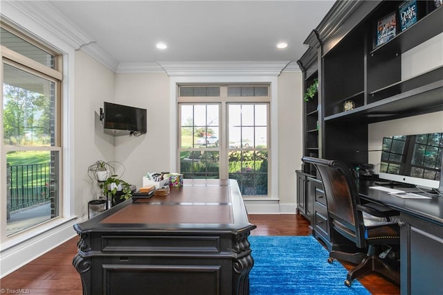 office area featuring dark hardwood / wood-style floors and crown molding