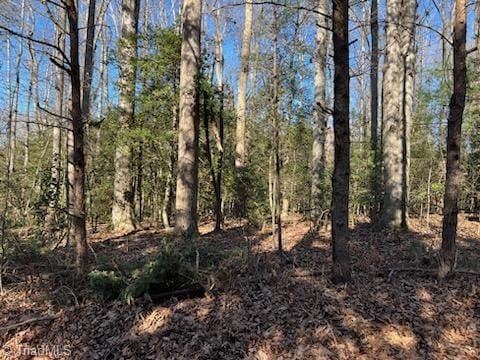 LOT23 Woodruff Rd, Jonesville NC, 28642 land for sale