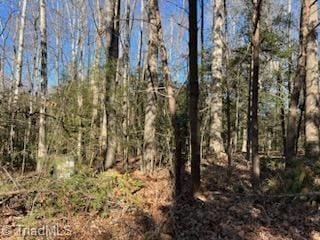 Listing photo 3 for LOT23 Woodruff Rd, Jonesville NC 28642