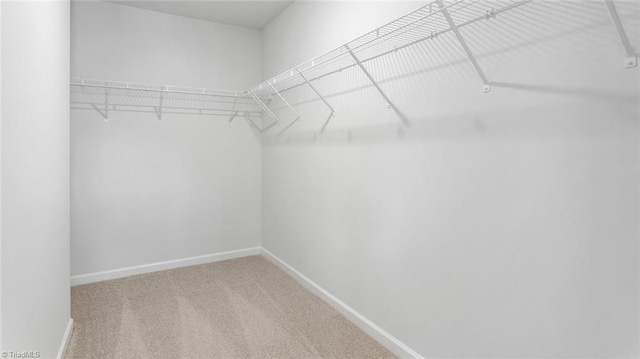 1372 Amberview Ln, Kernersville, NC 27284 - spacious closet with carpet floors