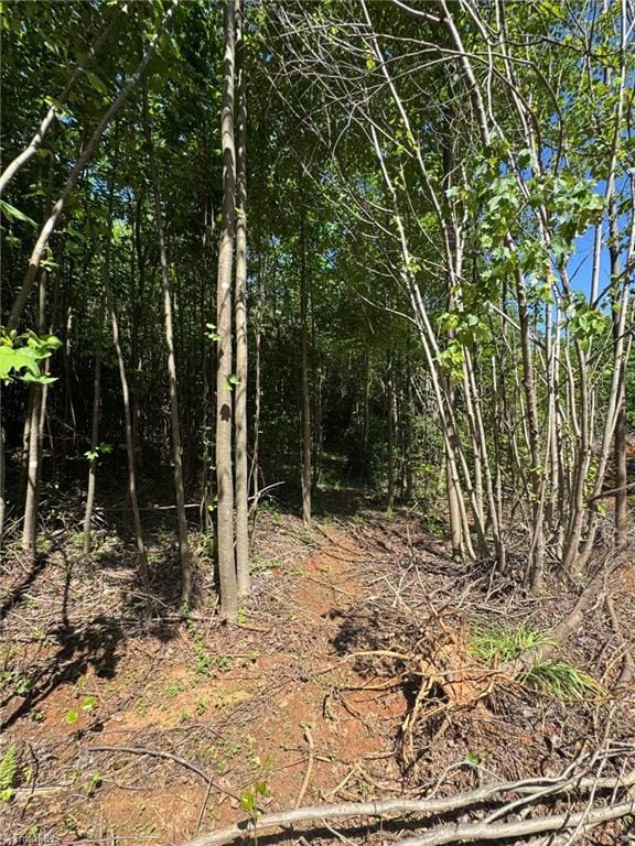 LOT54 Billings Hill Church Rd, Traphill, NC 28683