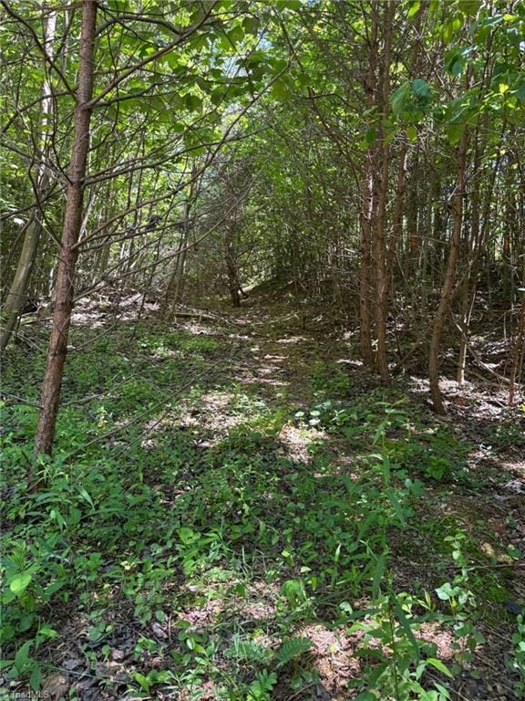LOT54 Billings Hill Church Rd, Traphill, NC 28683