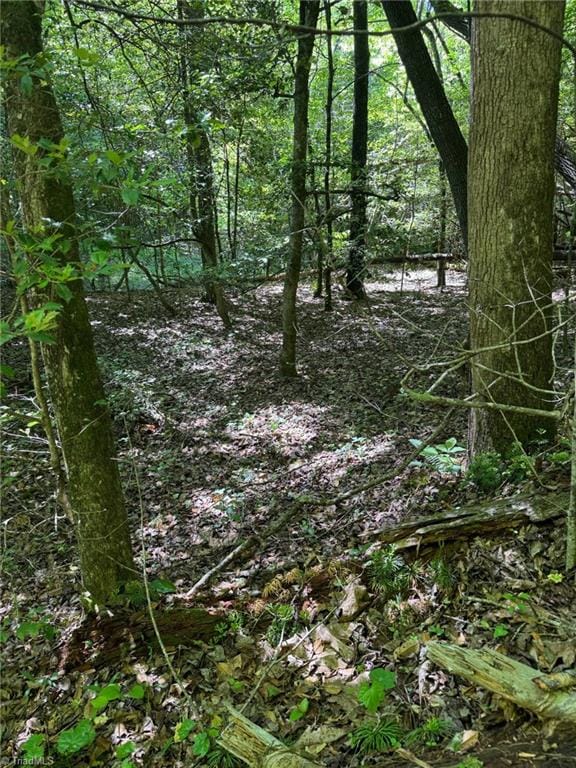 LOT54 Billings Hill Church Rd, Traphill, NC 28683