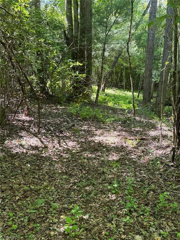 LOT54 Billings Hill Church Rd, Traphill, NC 28683