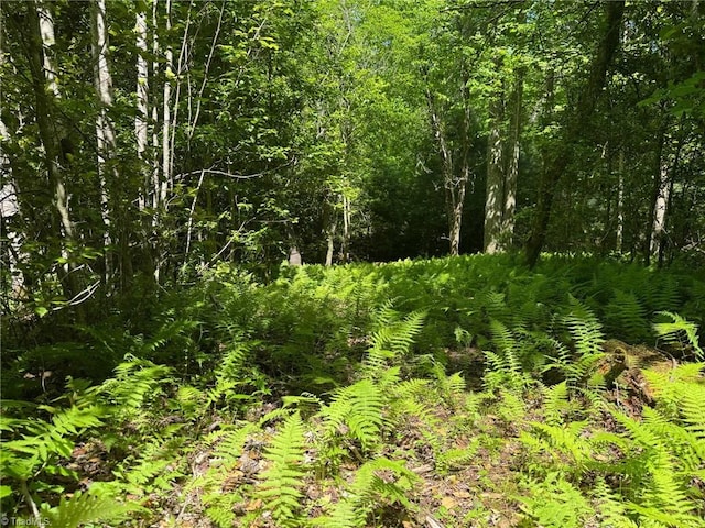 LOT54 Billings Hill Church Rd, Traphill, NC 28683